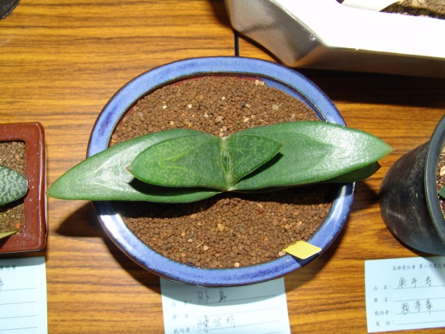 按此在新視窗瀏覽圖片