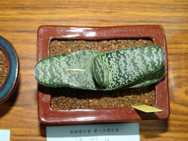 按此在新視窗瀏覽圖片