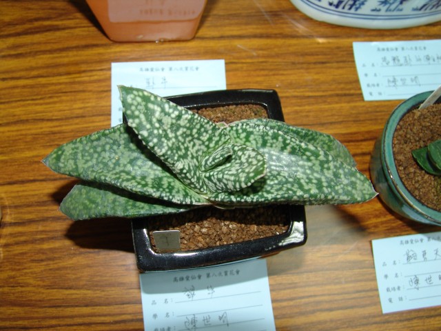 按此在新視窗瀏覽圖片