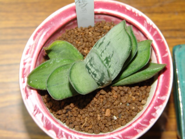 按此在新視窗瀏覽圖片