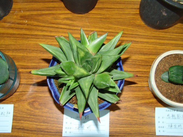 按此在新視窗瀏覽圖片