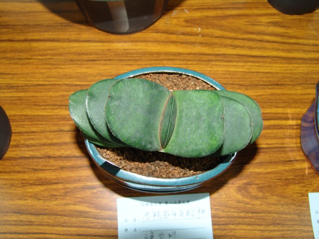 按此在新視窗瀏覽圖片