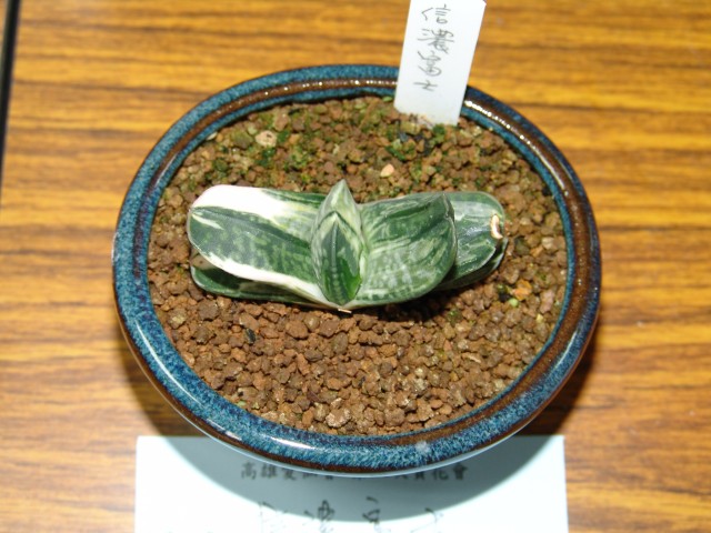 按此在新視窗瀏覽圖片