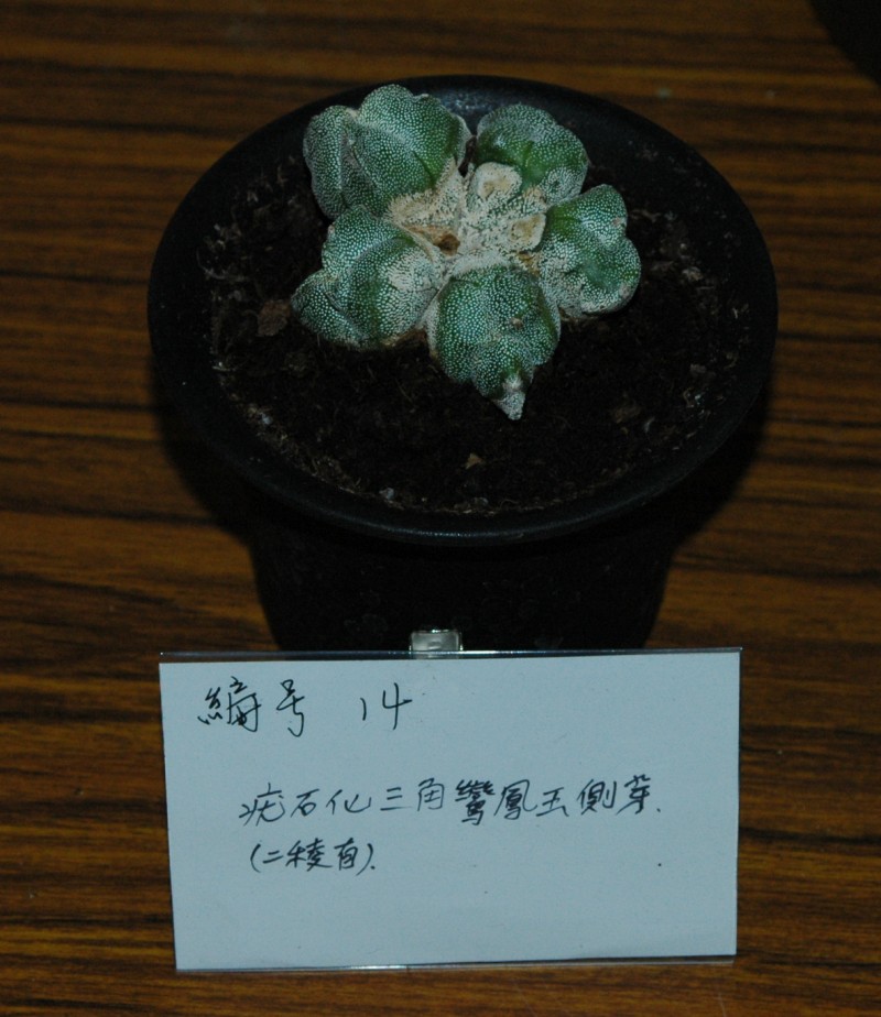 按此在新視窗瀏覽圖片