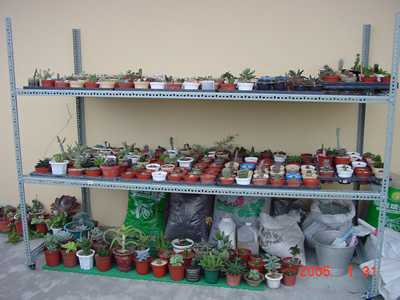 «ö¦¹¦b·sµøµ¡ÂsÄý¹Ï¤ù