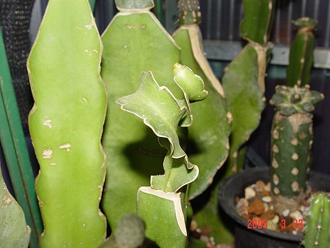 按此在新視窗瀏覽圖片