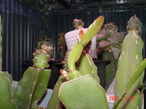 按此在新視窗瀏覽圖片