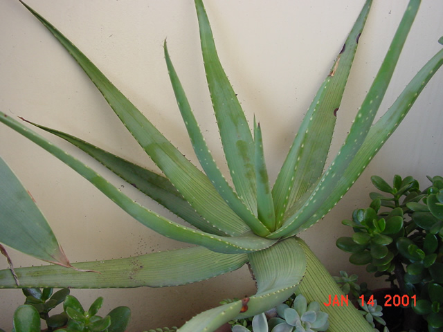 «ö¦¹¦b·sµøµ¡ÂsÄý¹Ï¤ù