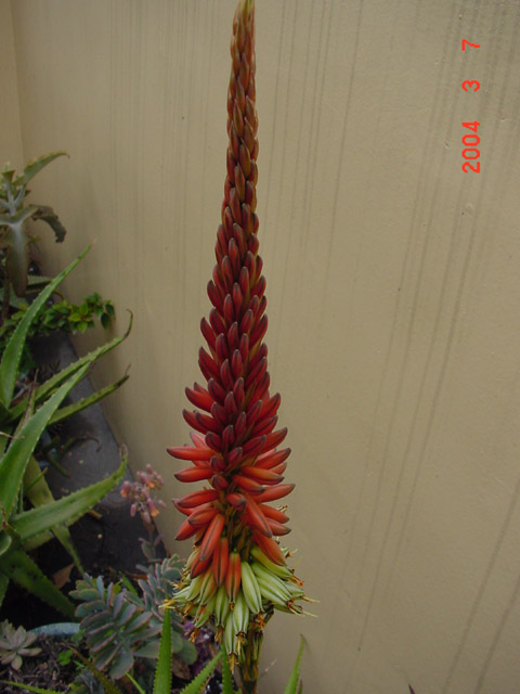 «ö¦¹¦b·sµøµ¡ÂsÄý¹Ï¤ù