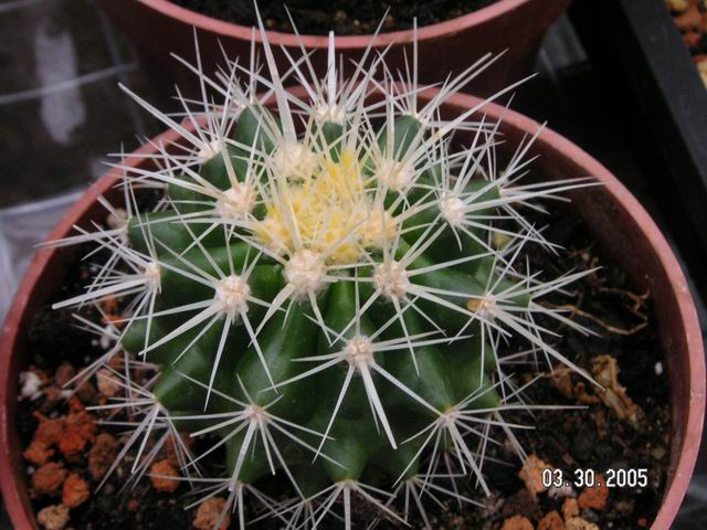 «ö¦¹¦b·sµøµ¡ÂsÄý¹Ï¤ù