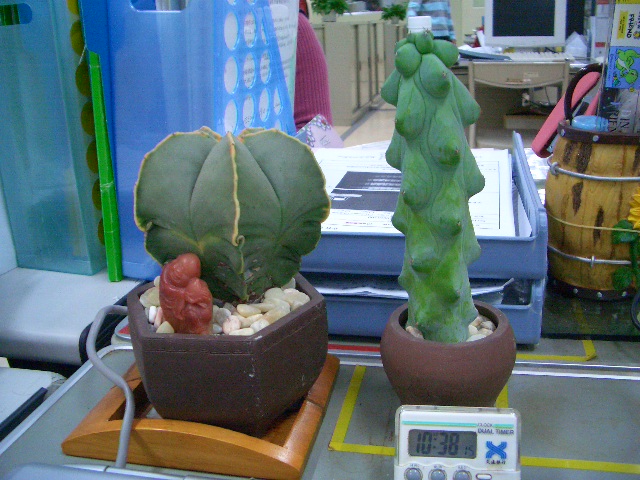 按此在新視窗瀏覽圖片