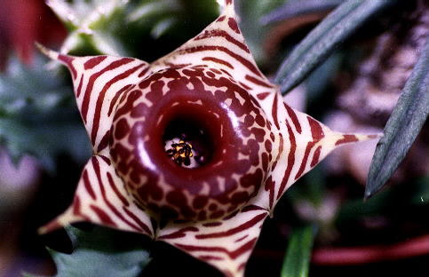 按此在新視窗瀏覽圖片