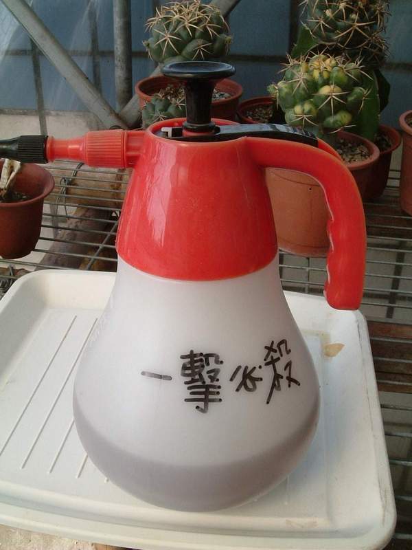 按此在新視窗瀏覽圖片