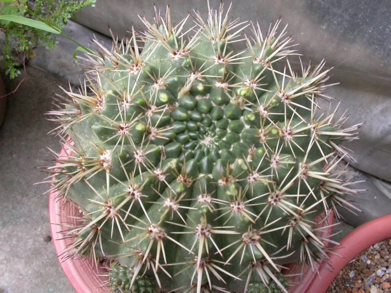 按此在新視窗瀏覽圖片