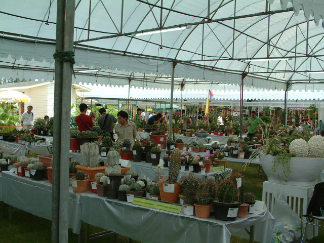 按此在新視窗瀏覽圖片