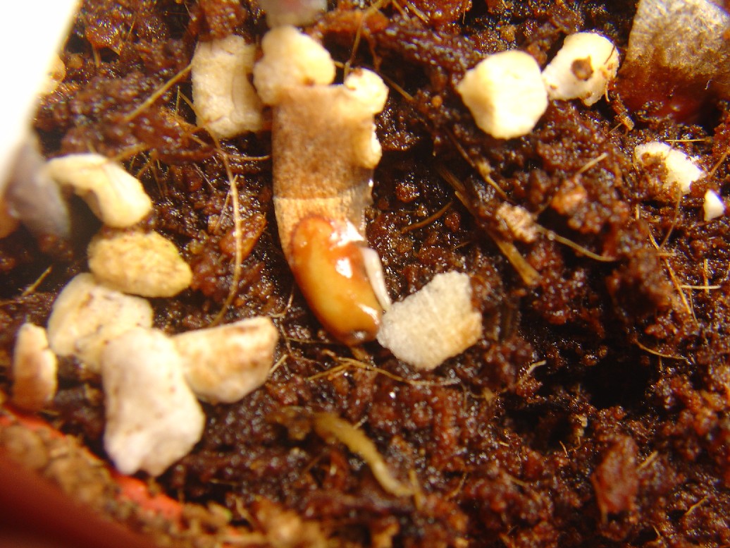 «ö¦¹¦b·sµøµ¡ÂsÄý¹Ï¤ù