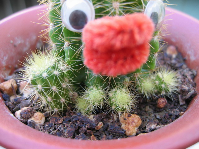 «ö¦¹¦b·sµøµ¡ÂsÄý¹Ï¤ù