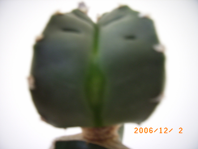 «ö¦¹¦b·sµøµ¡ÂsÄý¹Ï¤ù