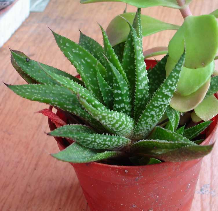 «ö¦¹¦b·sµøµ¡ÂsÄý¹Ï¤ù