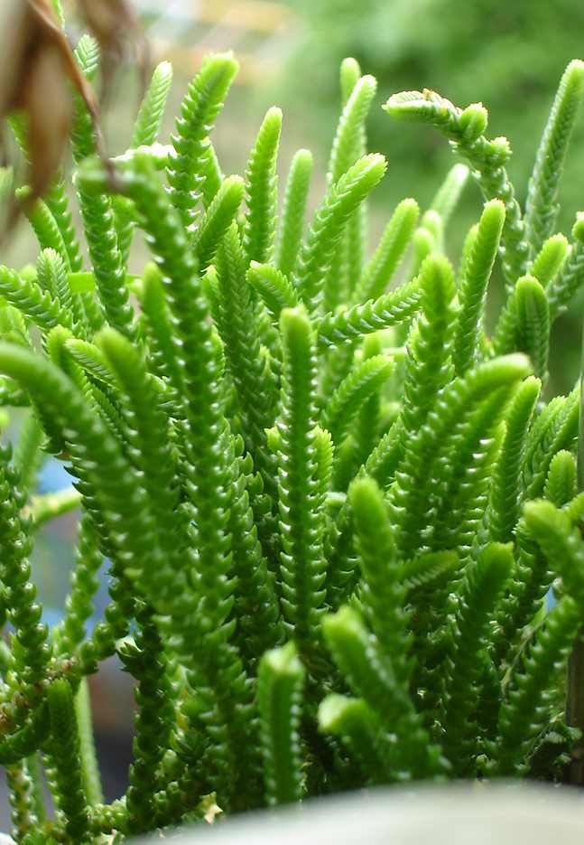 «ö¦¹¦b·sµøµ¡ÂsÄý¹Ï¤ù