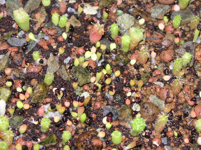 «ö¦¹¦b·sµøµ¡ÂsÄý¹Ï¤ù