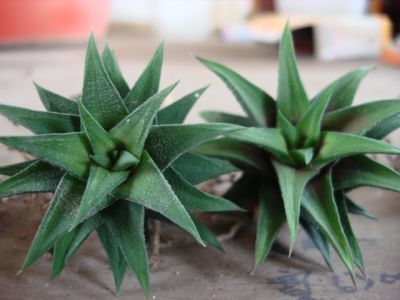 «ö¦¹¦b·sµøµ¡ÂsÄý¹Ï¤ù