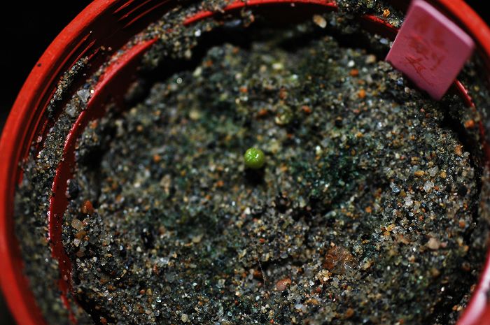 «ö¦¹¦b·sµøµ¡ÂsÄý¹Ï¤ù