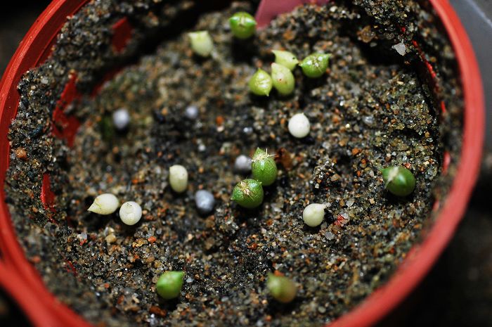 «ö¦¹¦b·sµøµ¡ÂsÄý¹Ï¤ù