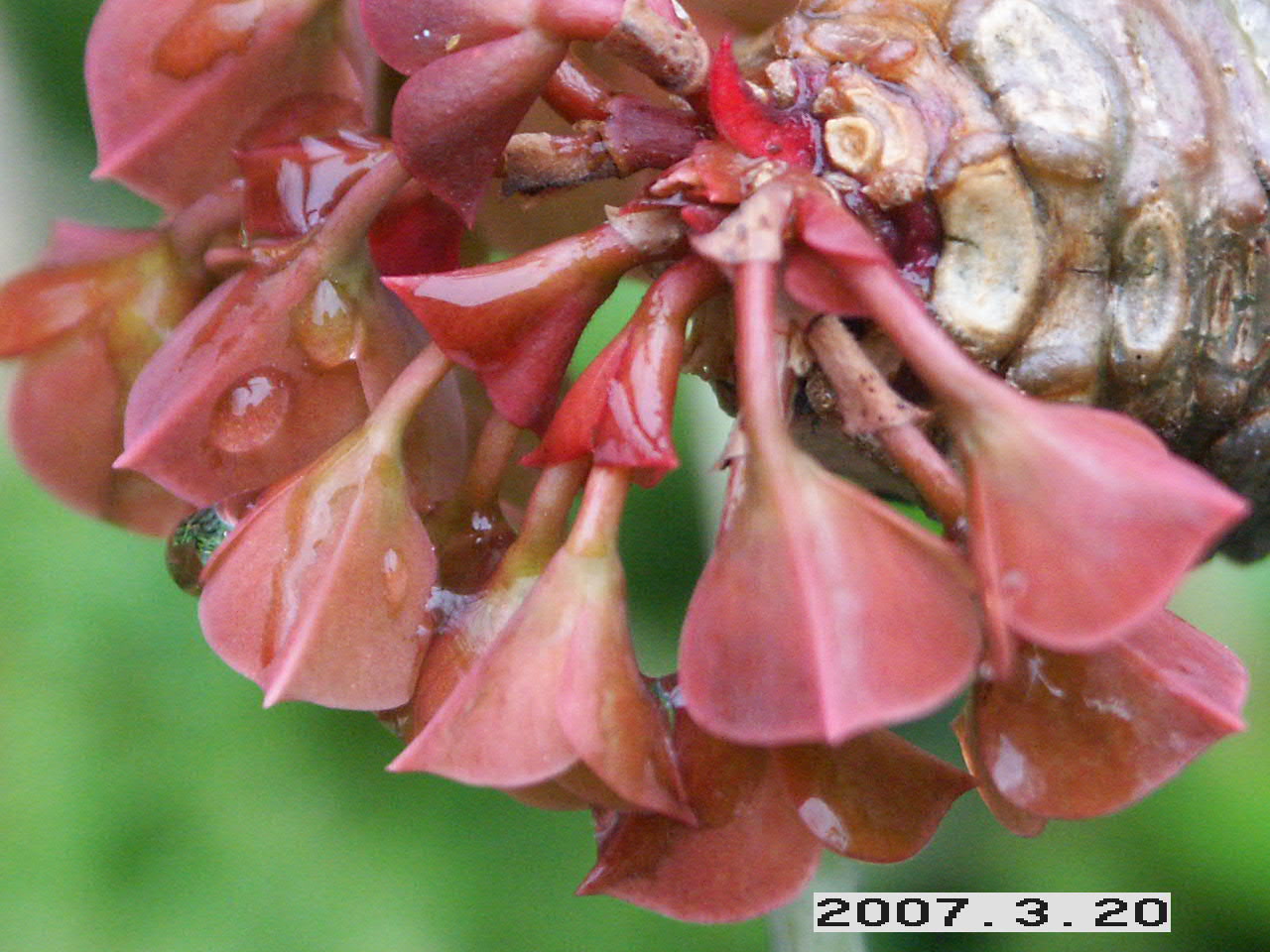 «ö¦¹¦b·sµøµ¡ÂsÄý¹Ï¤ù