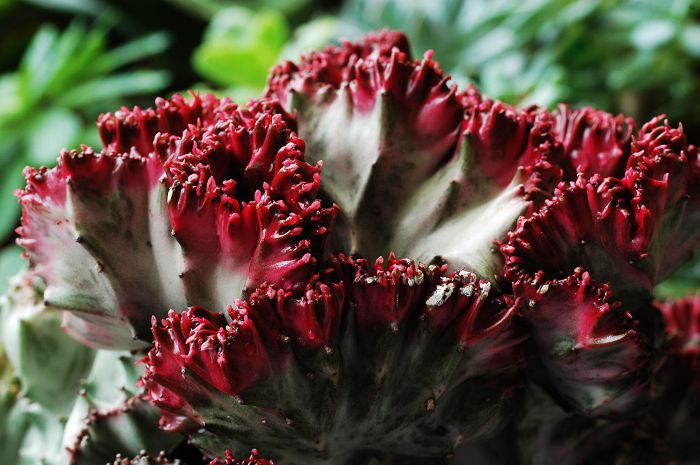 «ö¦¹¦b·sµøµ¡ÂsÄý¹Ï¤ù