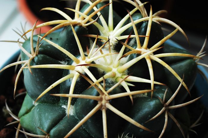 «ö¦¹¦b·sµøµ¡ÂsÄý¹Ï¤ù