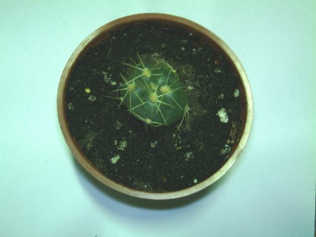 «ö¦¹¦b·sµøµ¡ÂsÄý¹Ï¤ù