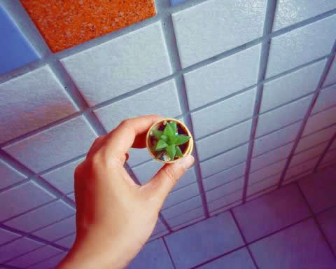 «ö¦¹¦b·sµøµ¡ÂsÄý¹Ï¤ù