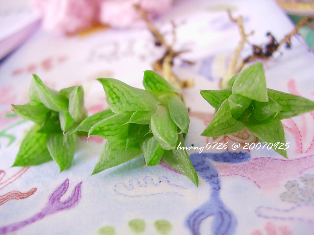 «ö¦¹¦b·sµøµ¡ÂsÄý¹Ï¤ù