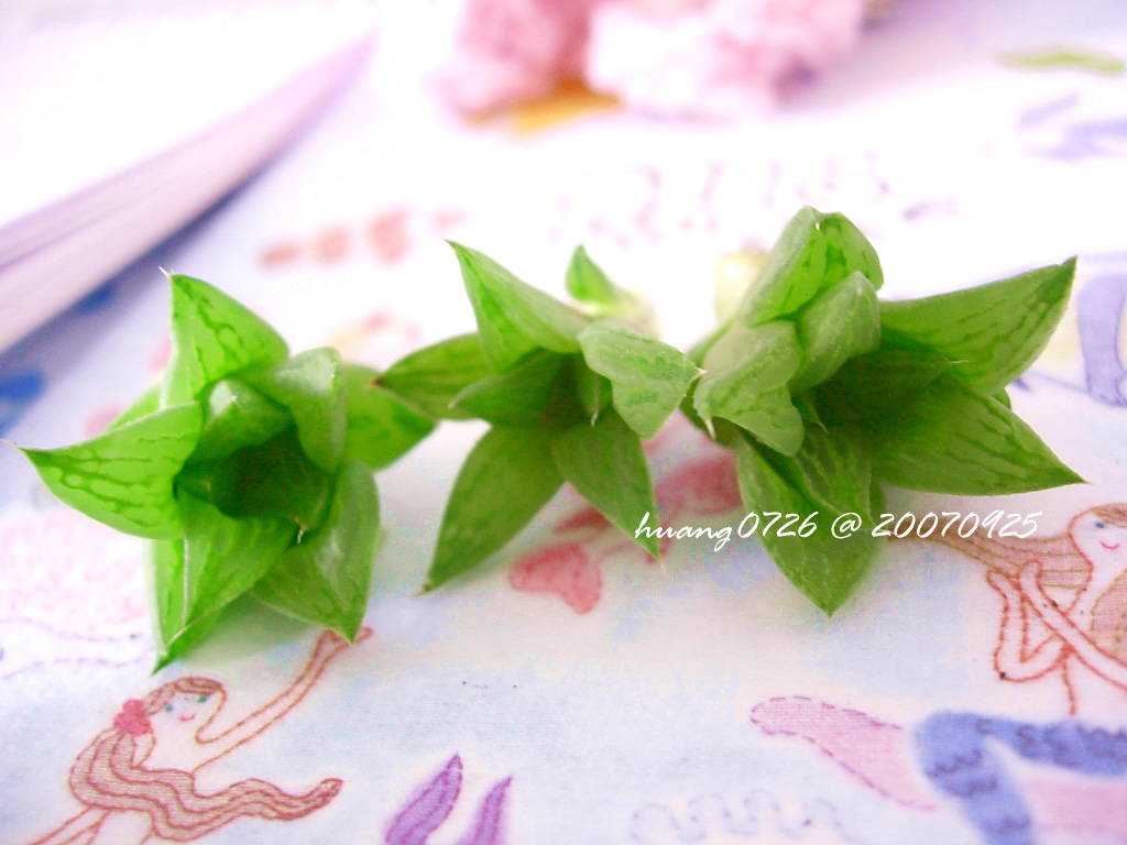 «ö¦¹¦b·sµøµ¡ÂsÄý¹Ï¤ù