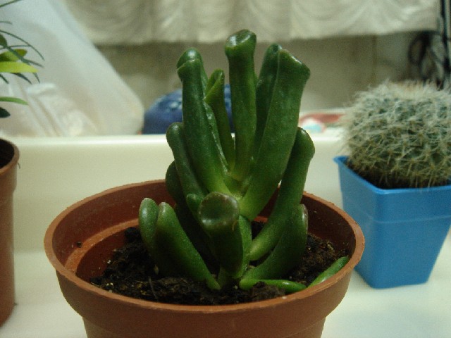 «ö¦¹¦b·sµøµ¡ÂsÄý¹Ï¤ù