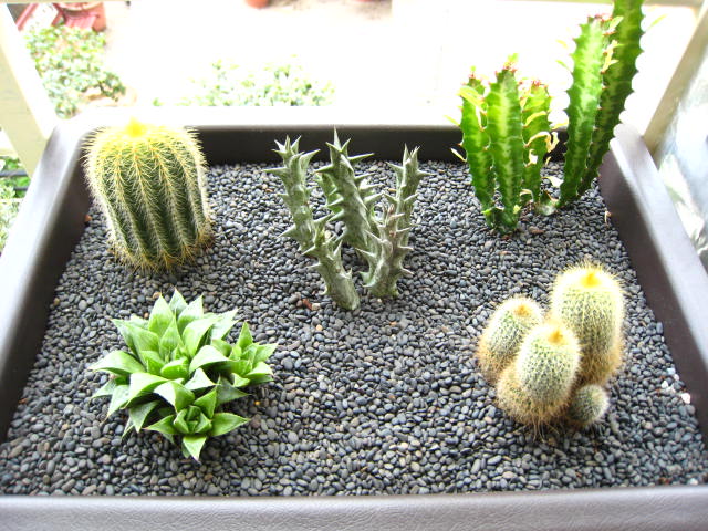 «ö¦¹¦b·sµøµ¡ÂsÄý¹Ï¤ù