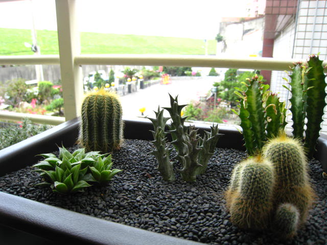 «ö¦¹¦b·sµøµ¡ÂsÄý¹Ï¤ù