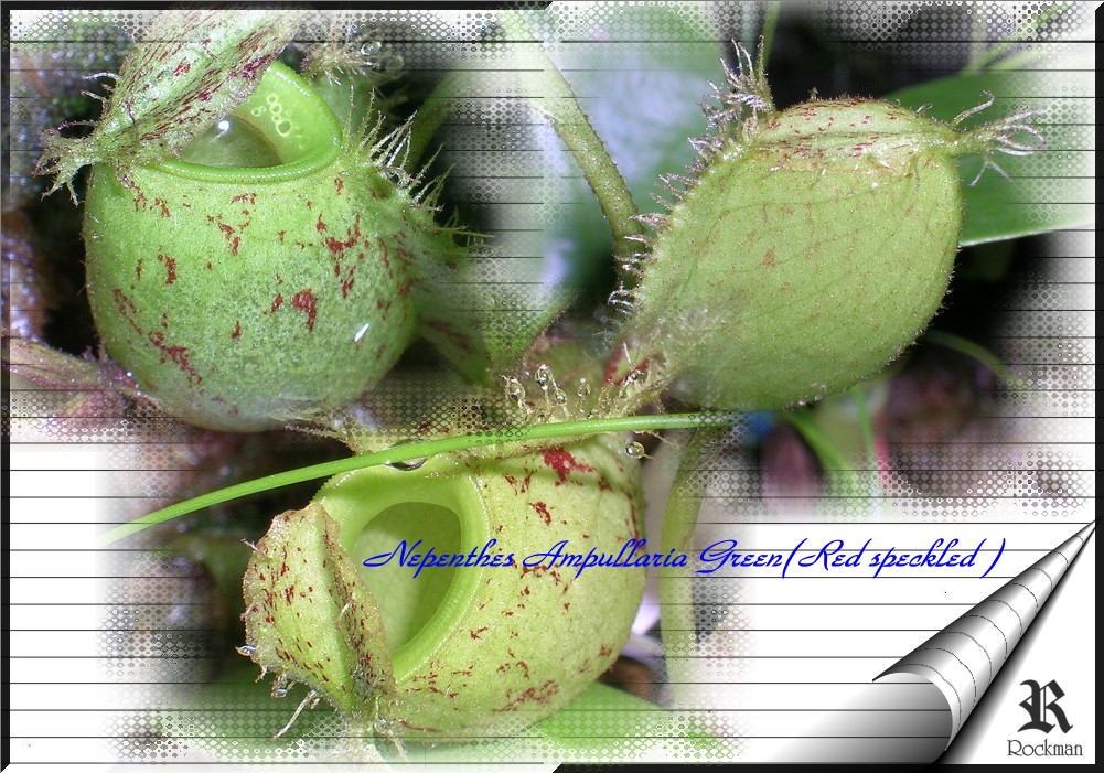 «ö¦¹¦b·sµøµ¡ÂsÄý¹Ï¤ù