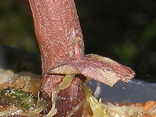 «ö¦¹¦b·sµøµ¡ÂsÄý¹Ï¤ù