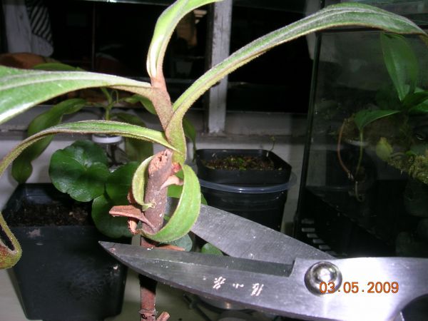 «ö¦¹¦b·sµøµ¡ÂsÄý¹Ï¤ù