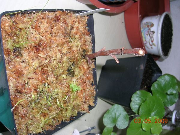 «ö¦¹¦b·sµøµ¡ÂsÄý¹Ï¤ù