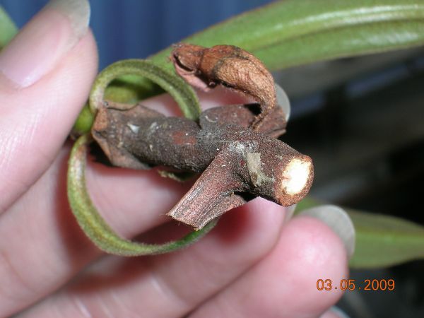 «ö¦¹¦b·sµøµ¡ÂsÄý¹Ï¤ù