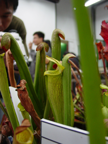 按此在新視窗瀏覽圖片