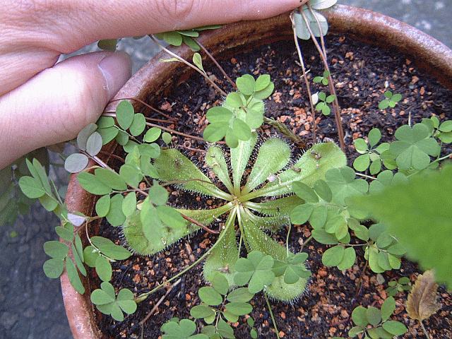 按此在新視窗瀏覽圖片