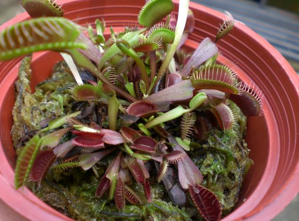 «ö¦¹¦b·sµøµ¡ÂsÄý¹Ï¤ù