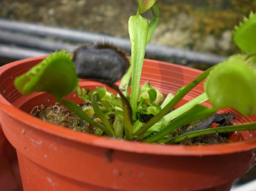 «ö¦¹¦b·sµøµ¡ÂsÄý¹Ï¤ù