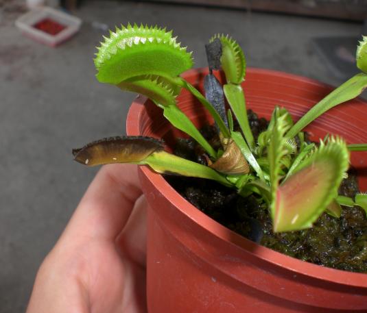 «ö¦¹¦b·sµøµ¡ÂsÄý¹Ï¤ù