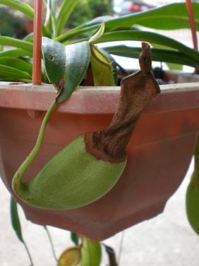 «ö¦¹¦b·sµøµ¡ÂsÄý¹Ï¤ù