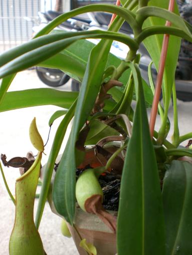 «ö¦¹¦b·sµøµ¡ÂsÄý¹Ï¤ù